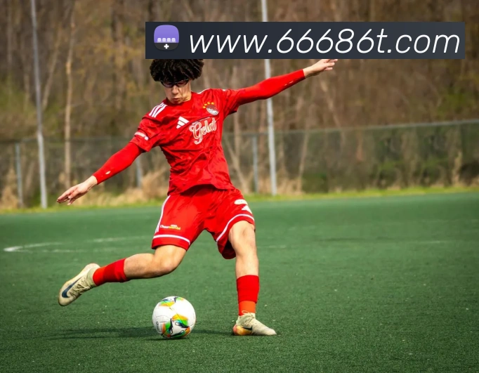 6686全站App